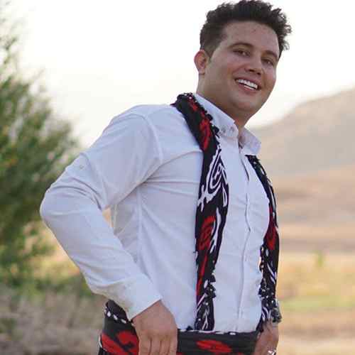 دانلود آهنگ سرون لار علی احمدیانی